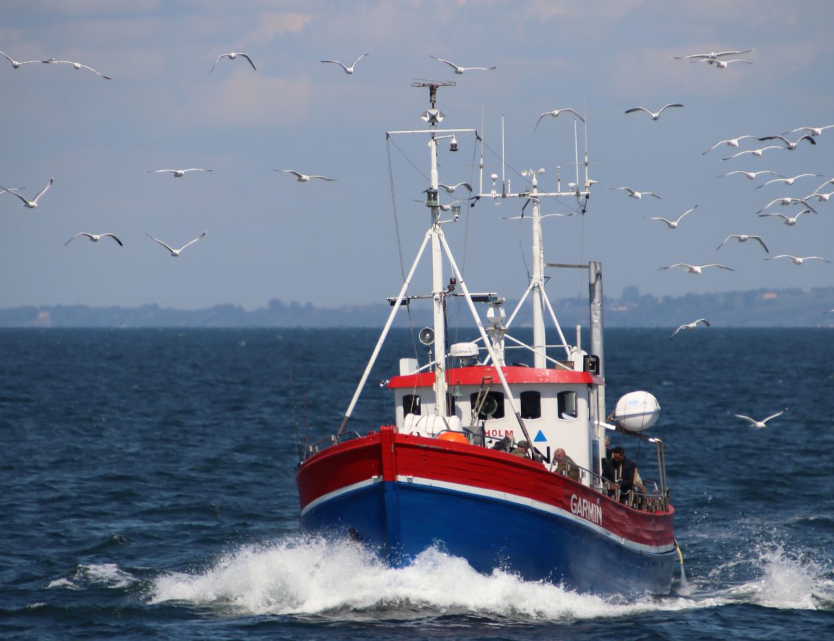 – lystfiskeri på Øresund