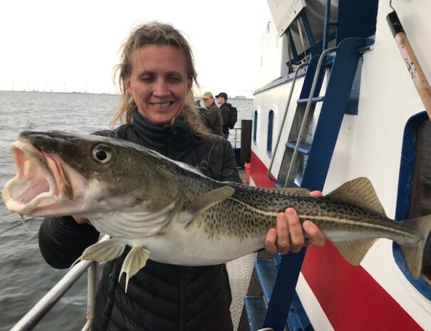 Lystfiskeri på Øresund